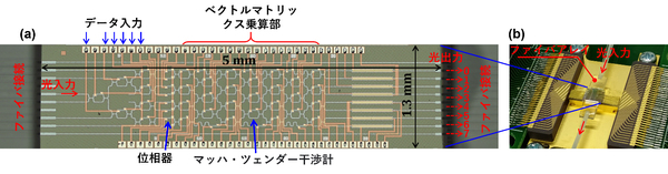 図1：製作した回路チップの外観（写真左）と、演算機能評価用に光ファイバーと電気配線を実装したモジュールの外観（写真右）